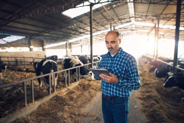 Farmer reviewing records on a tablet inside a livestock barn